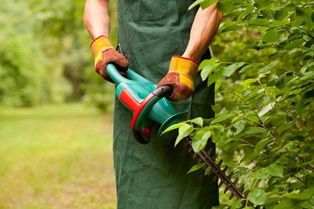 Home improvement: knee pads, work gloves, and other safety gear