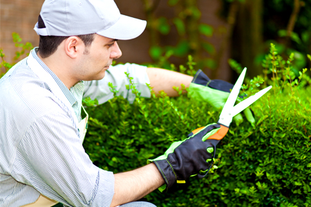 Home improvement: knee pads, work gloves, and other safety gear