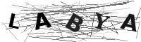Please refresh your browser to see this image.